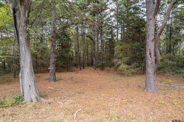 view of nature with a wooded view