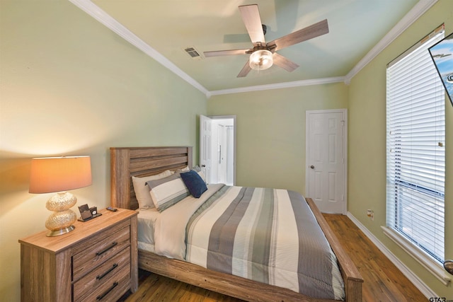 bedroom with multiple windows, ornamental molding, ceiling fan, and dark wood-type flooring