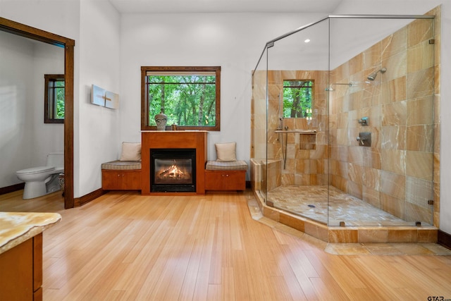 bathroom featuring a wealth of natural light, toilet, a shower with door, and vanity