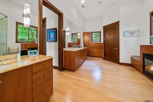 bathroom with vanity and wood-type flooring