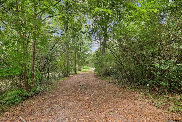 view of road