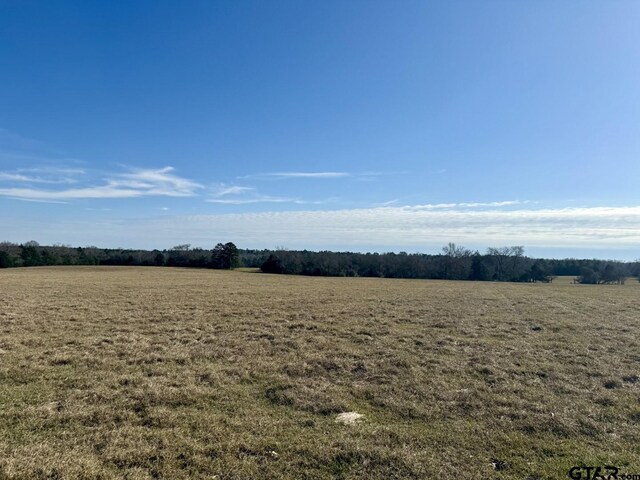 TBD County Road 435, Frankston, TX 75763 - photo 15