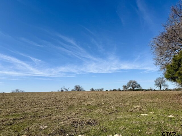 TBD County Road 435, Frankston, TX 75763 - photo 13