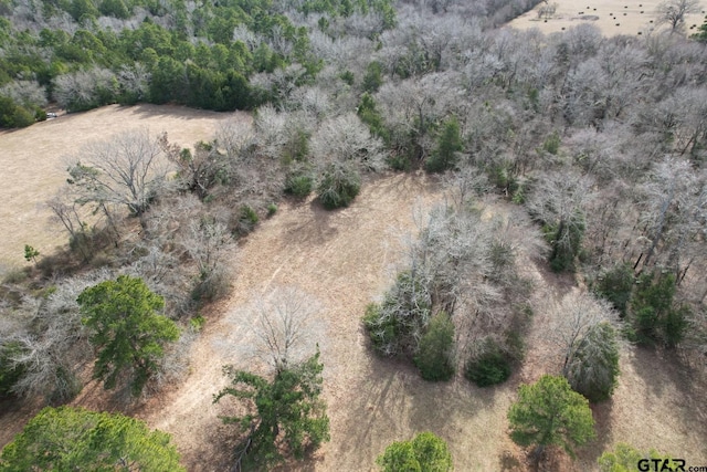 TBD County Road 435, Frankston, TX 75763 - photo 16