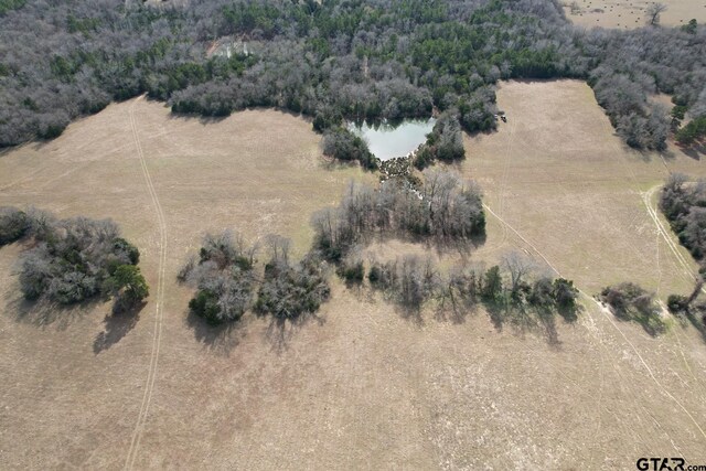 TBD County Road 435, Frankston, TX 75763 - photo 9