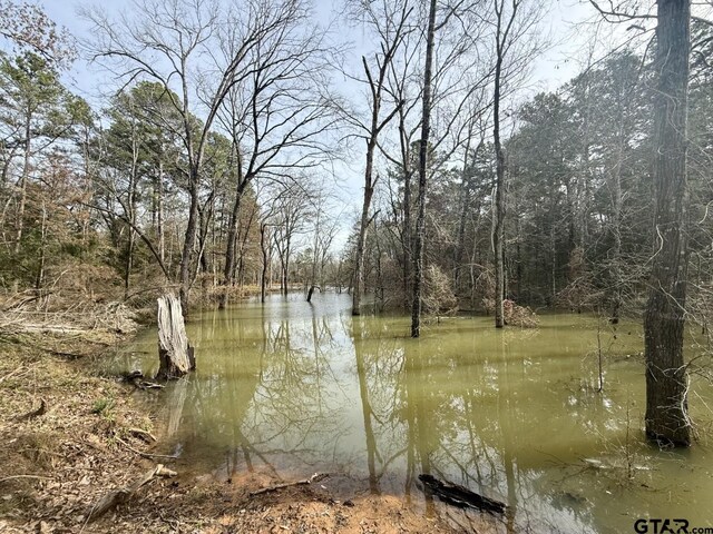 TBD County Road 435, Frankston, TX 75763 - photo 14