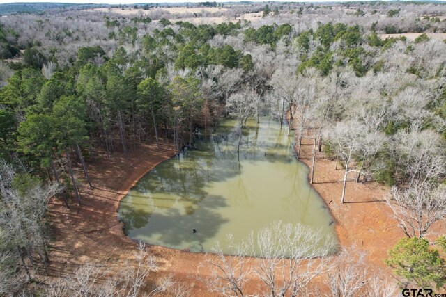 TBD County Road 435, Frankston, TX 75763 - photo 8