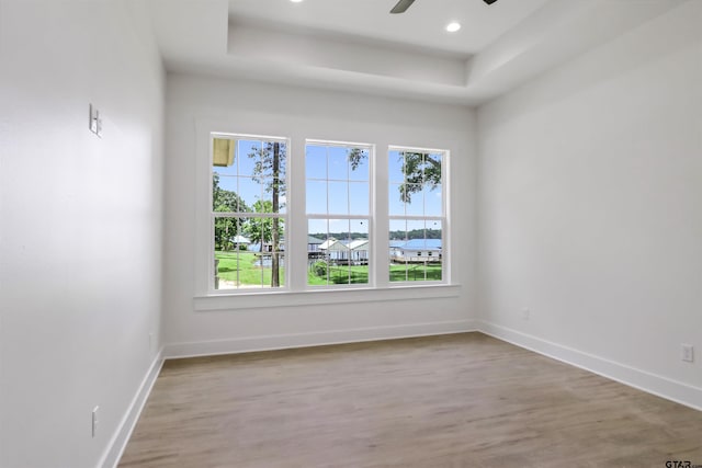 empty room with a raised ceiling, plenty of natural light, and light wood-type flooring