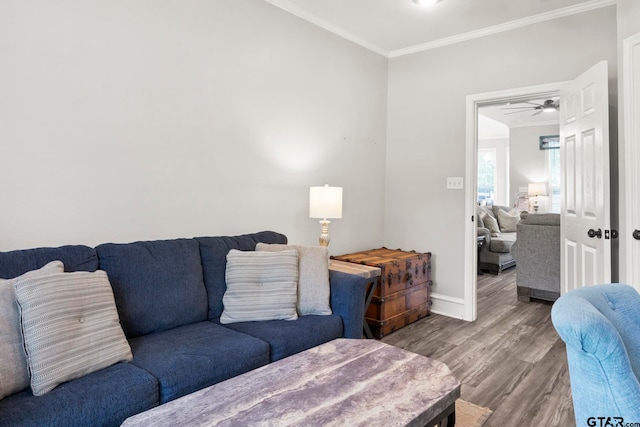 living room featuring hardwood / wood-style flooring, ceiling fan, and crown molding