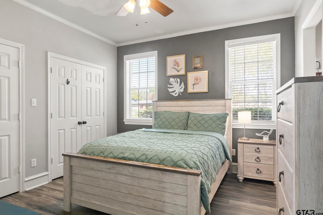 bedroom featuring dark wood-type flooring, multiple windows, and ceiling fan