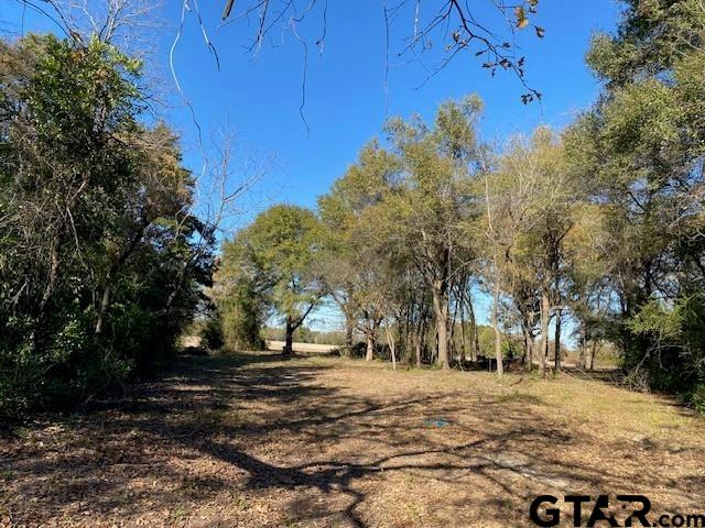 TR8 US Highway 175, Athens TX, 75752 land for sale