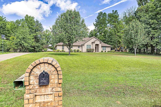 view of front of house with a front yard