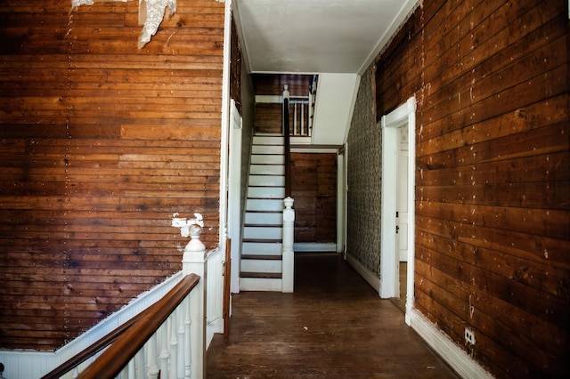 hallway featuring wood walls and dark hardwood / wood-style floors