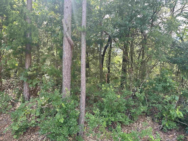 TBD Cumberland Way, Bullard, TX 75757 - photo 4