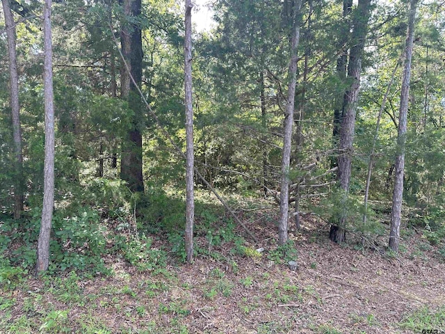 TBD Cumberland Way, Bullard, TX 75757 - photo 3