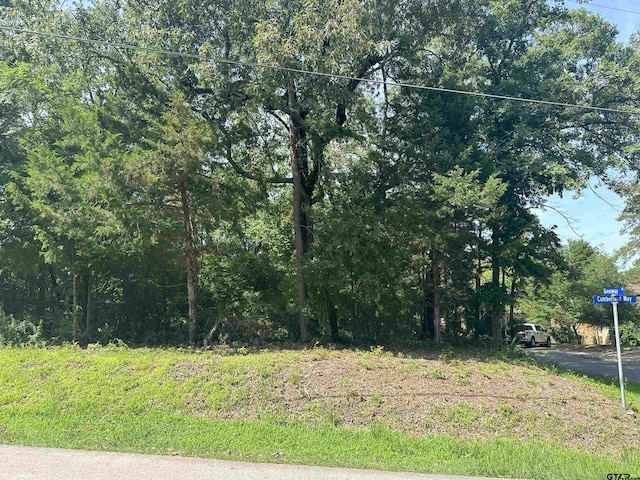 TBD Cumberland Way, Bullard, TX 75757 - photo 1