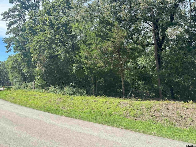 TBD Cumberland Way, Bullard, TX 75757 - photo 2