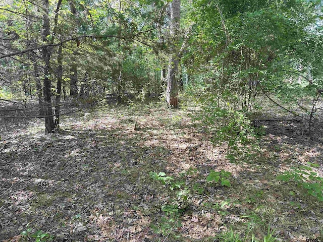 TBD Cumberland Way, Bullard, TX 75757 - photo 11