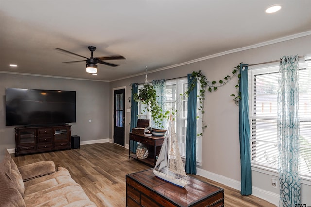 living room with ceiling fan, wood-type flooring, and crown molding