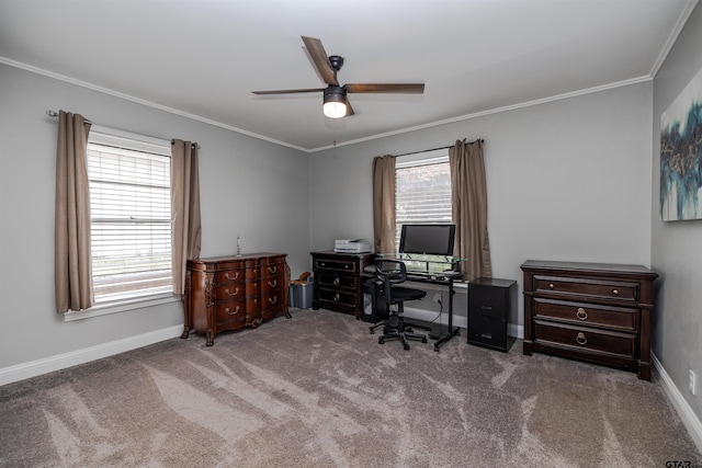 office space featuring a wealth of natural light, ceiling fan, and carpet flooring