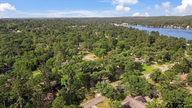 415 Lonestar Ln, Hideaway, TX 75771 - aerial view of property's location with a forest and a nearby body of water