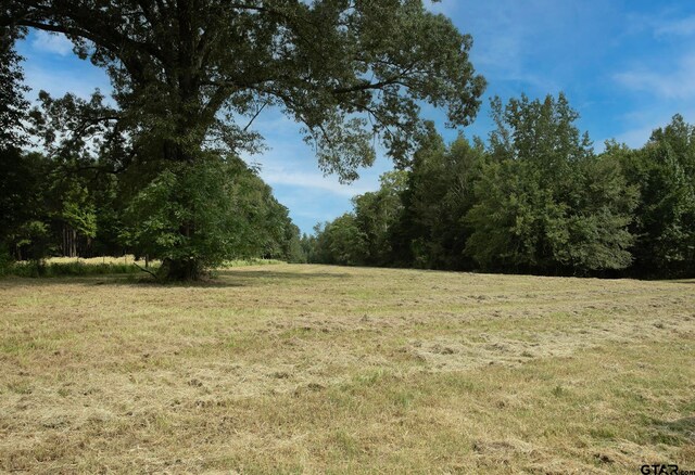 TBD Acr 336, Frankston, TX 75763