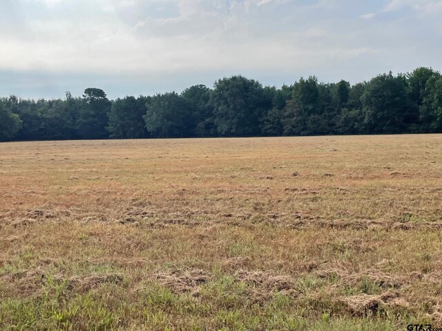TBD Acr 336, Frankston, TX 75763