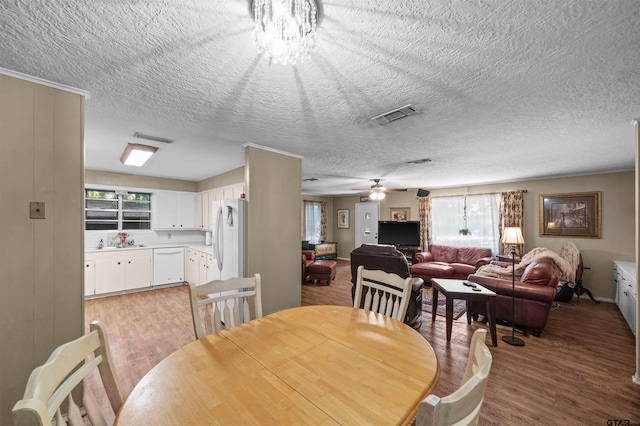 dining room with ceiling fan, sink, a textured ceiling, and hardwood / wood-style flooring