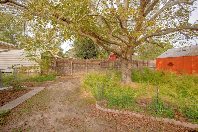 view of yard featuring a storage shed