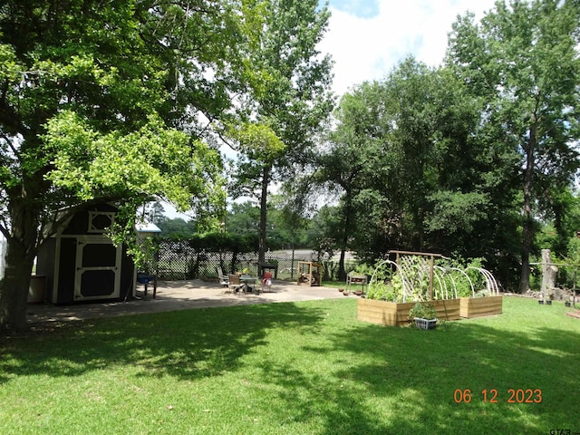 view of yard featuring a storage unit and a patio area