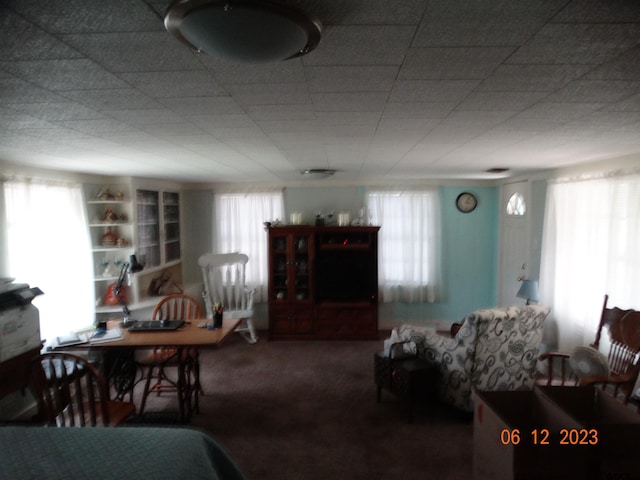 dining area featuring carpet floors