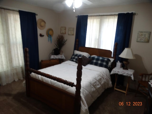 bedroom featuring ceiling fan