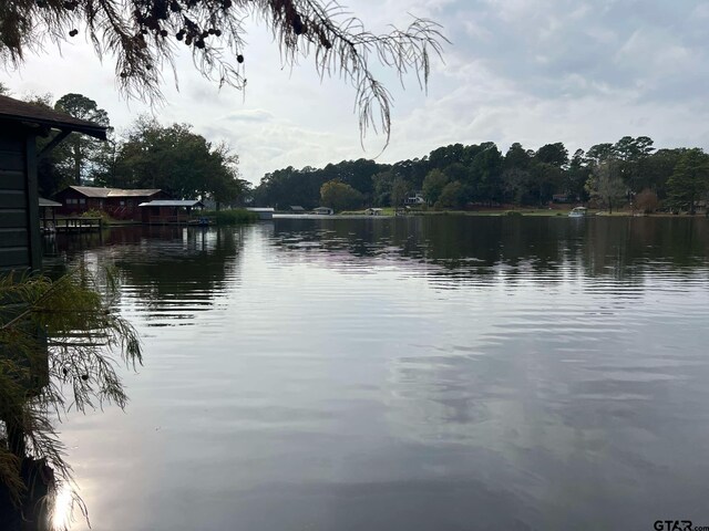 703 County Road 3235, Quitman, TX 75783 - photo 27