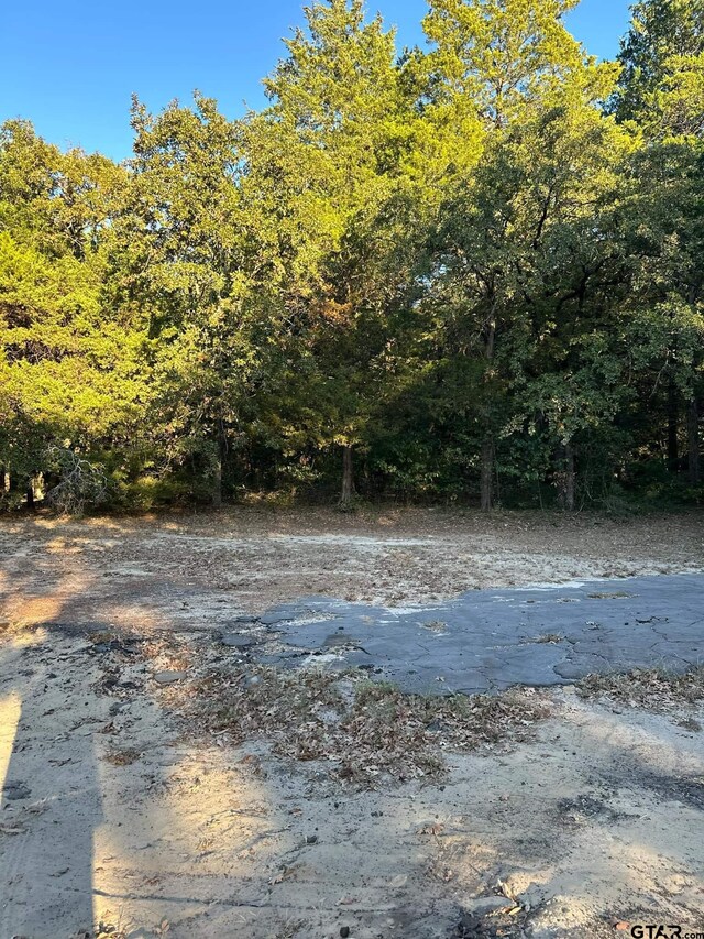 703 County Road 3235, Quitman, TX 75783 - photo 12