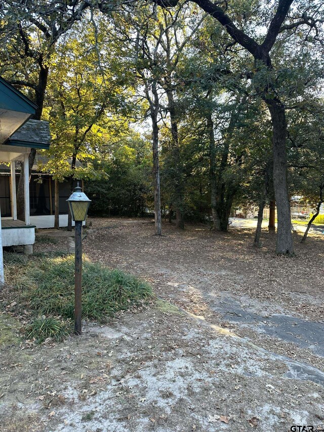 703 County Road 3235, Quitman, TX 75783 - photo 11