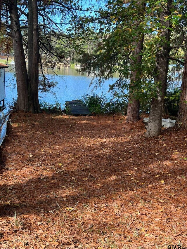 703 County Road 3235, Quitman, TX 75783 - photo 34