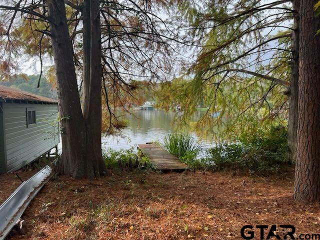 703 County Road 3235, Quitman, TX 75783 - photo 30