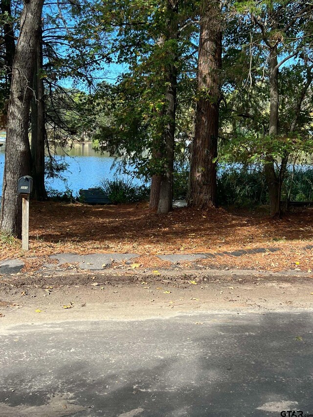 703 County Road 3235, Quitman, TX 75783 - photo 35