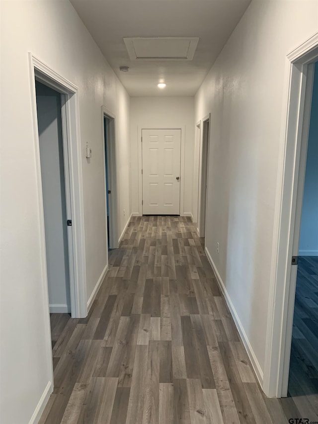 corridor with dark wood-type flooring