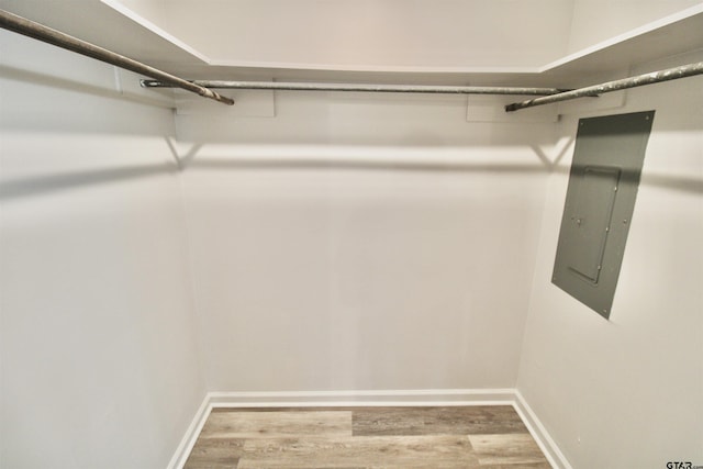 walk in closet with electric panel and hardwood / wood-style flooring