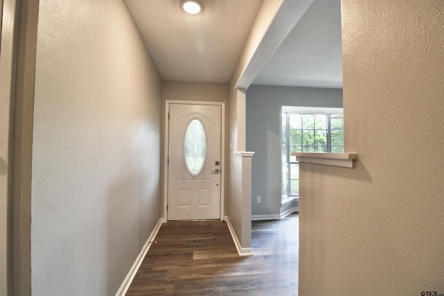 doorway with dark hardwood / wood-style flooring