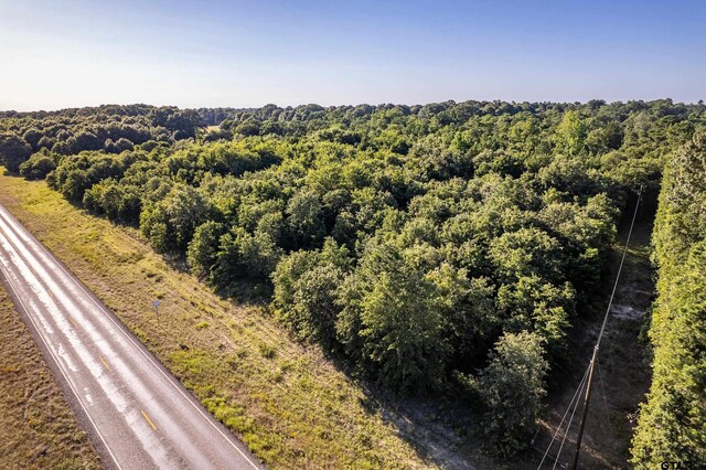 000 E State Highway 154, Quitman, TX 75783 - photo 5