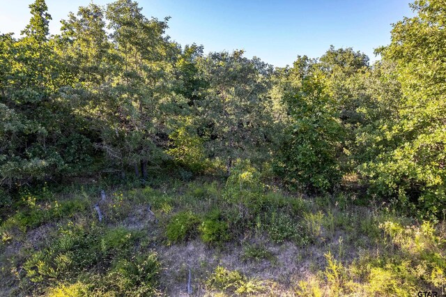 000 E State Highway 154, Quitman, TX 75783 - photo 6