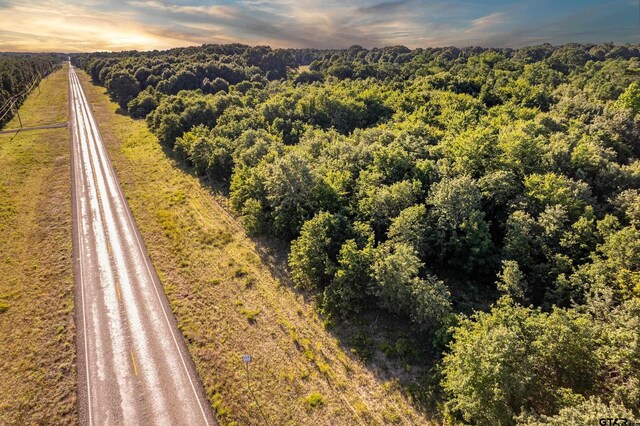 000 E State Highway 154, Quitman, TX 75783 - photo 19