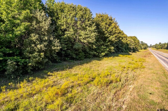 000 E State Highway 154, Quitman, TX 75783 - photo 16