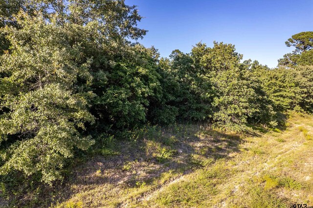 000 E State Highway 154, Quitman, TX 75783 - photo 8