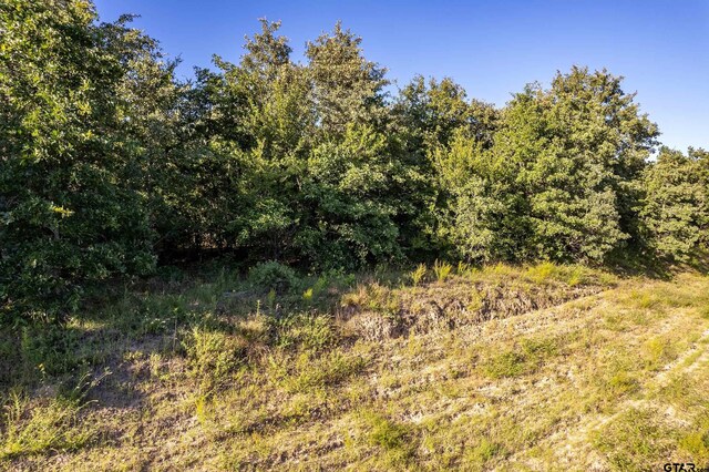 000 E State Highway 154, Quitman, TX 75783 - photo 7