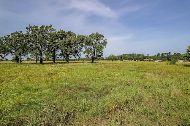 TBD Vz County Road 1516, Van, TX 75790 - photo 17
