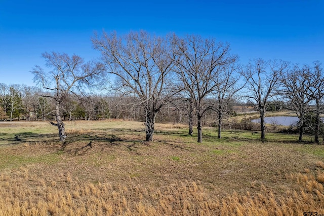 TBD Vz County Road 1516, Van, TX 75790 - photo 10