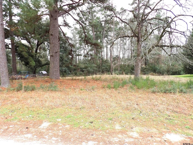 Listing photo 3 for TBD Spjst Road, Crockett TX 75835